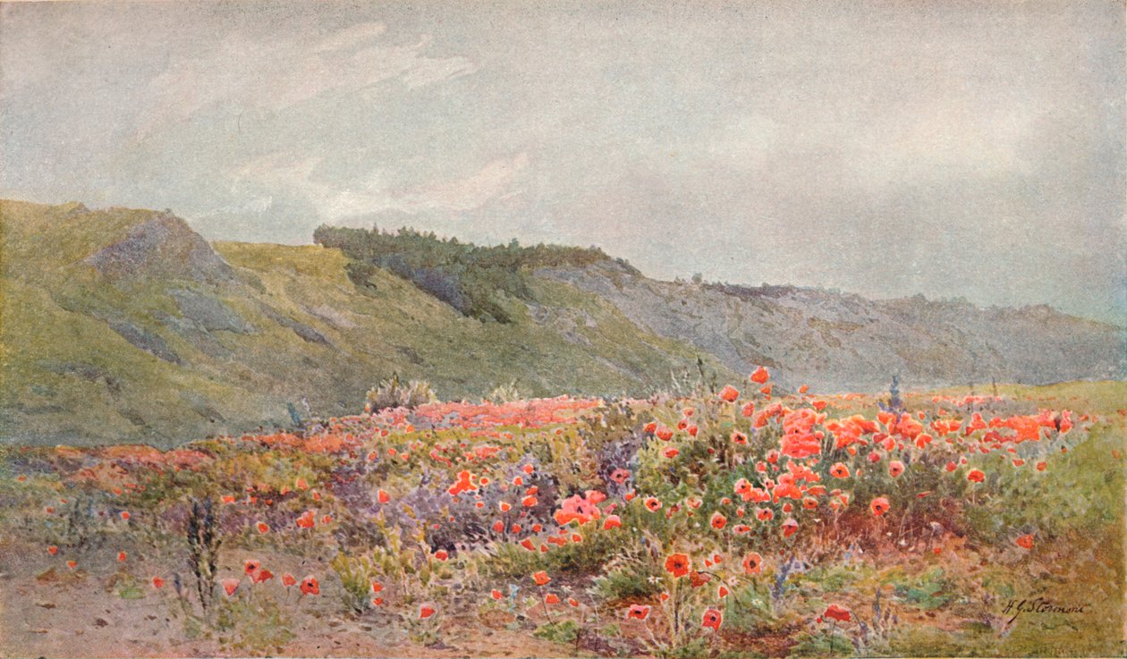 Vallmodalen, c1879-1903, 1903 av Howard Gull Stormont