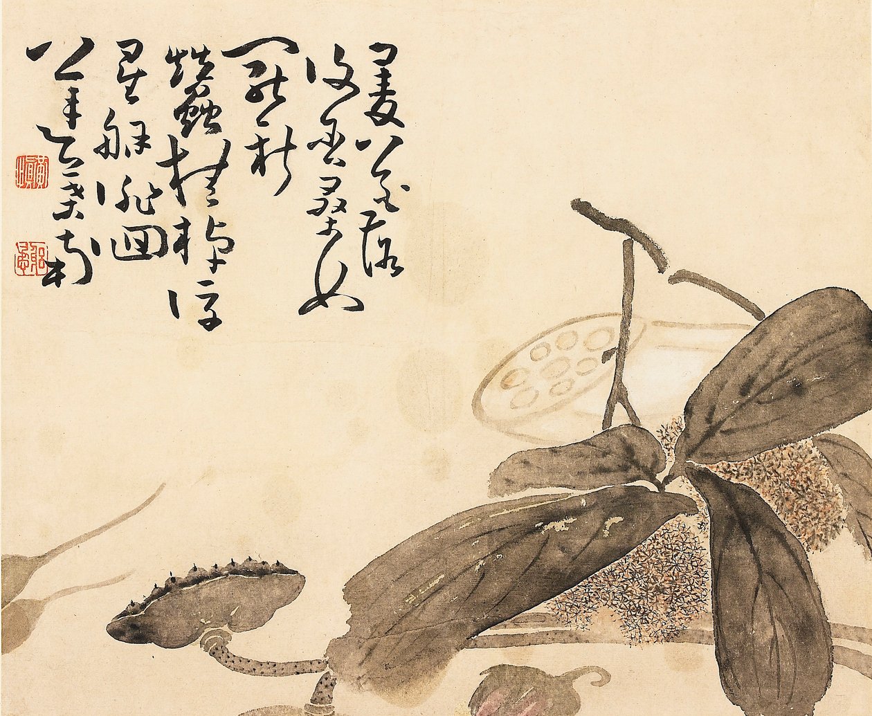 Målat albumblad - Lotusväxt, 1700-tal av Huang Shen
