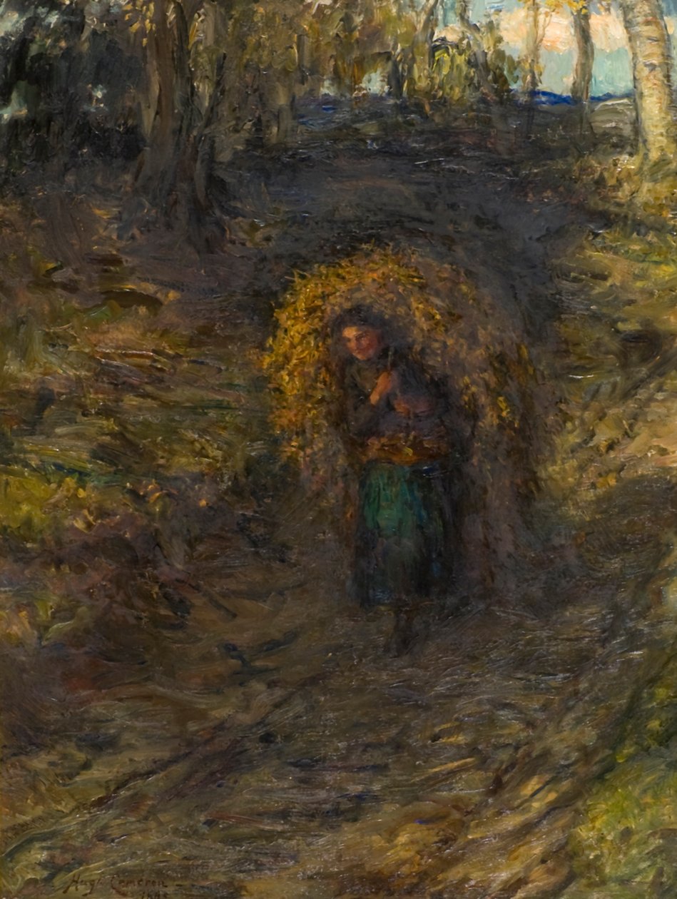 Fern Samlare av Hugh Cameron