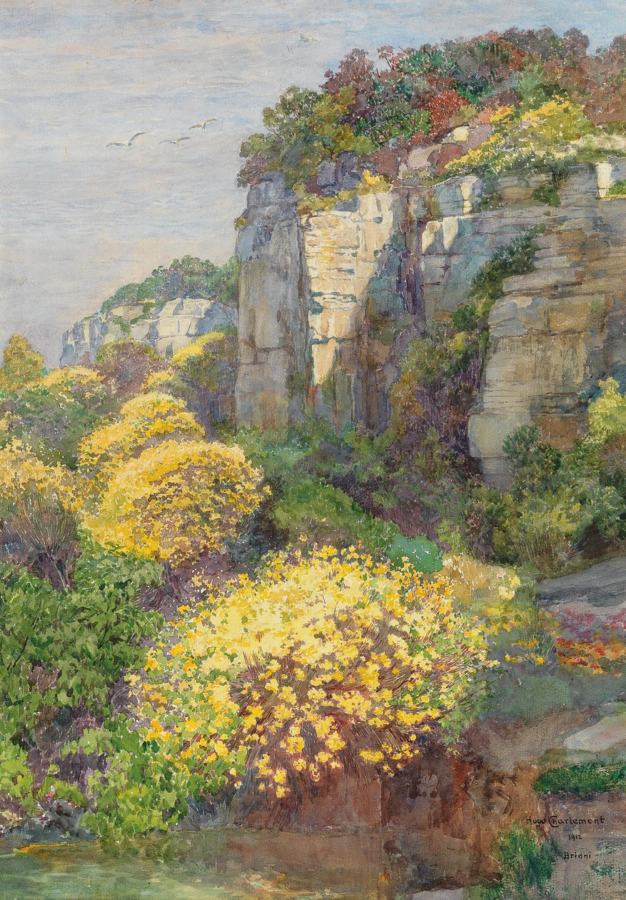  Ginsterblute auf BrioninEnglish: Broom in bloom on Brionin av Hugo Charlemont