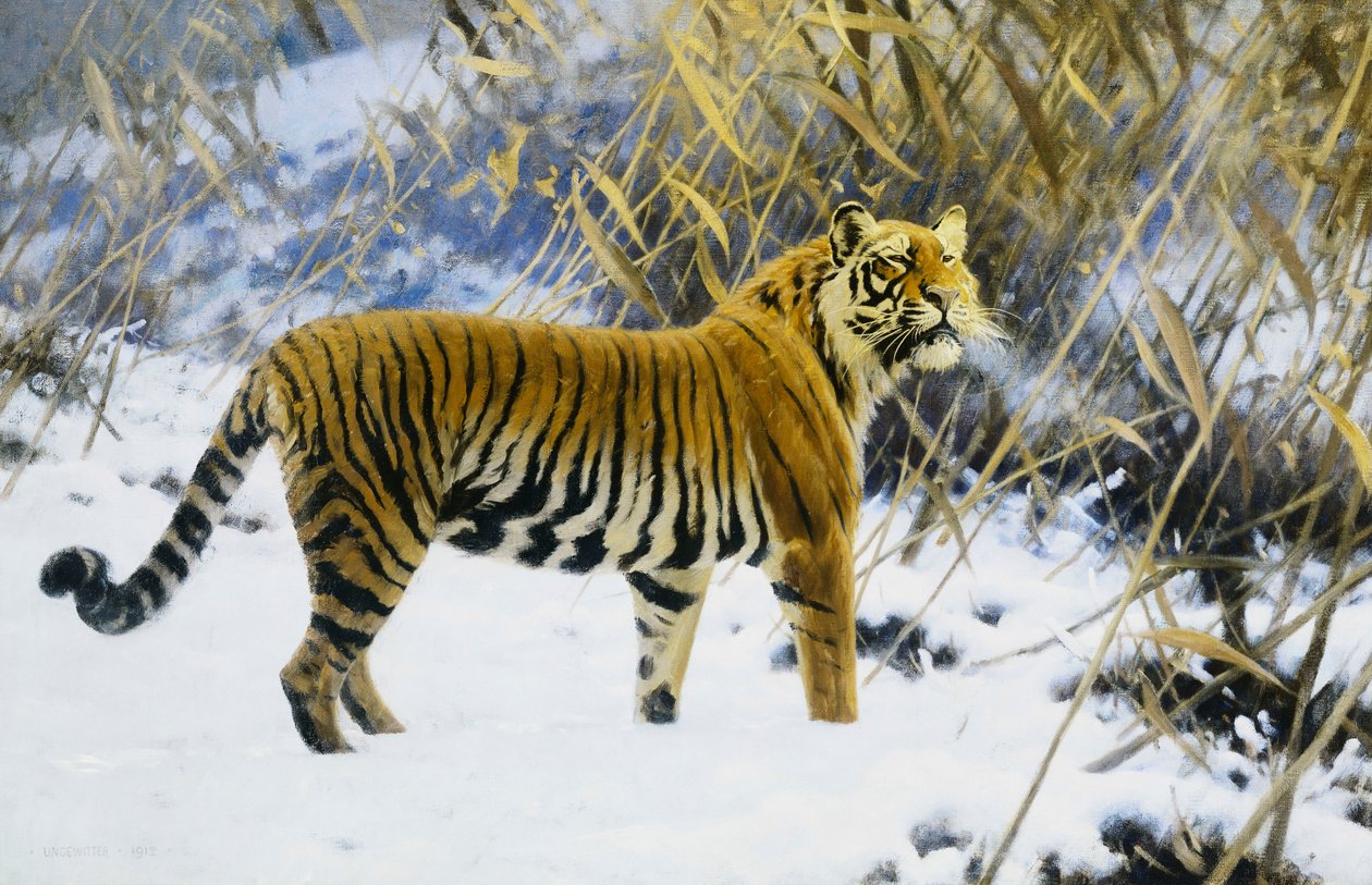Tiger i ett vinterlandskap av Hugo Ungewitter