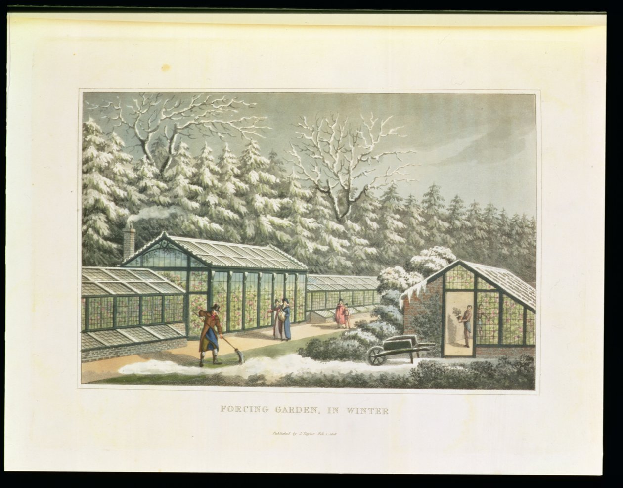 Forcing Garden in Winter, från Fragments on the Theory and Practice of Landscape Gardening", publicerad i. 1816 av Humphry Repton