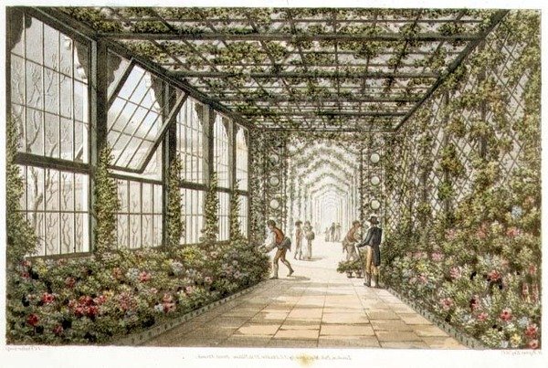 Korridor i ett konservatorium, graverad av Joseph Constantine Stadler (fl.1780-1812) från "Designs for the Pavilion at Brighton", pub. 1808 (färglitografi) av Humphry Repton