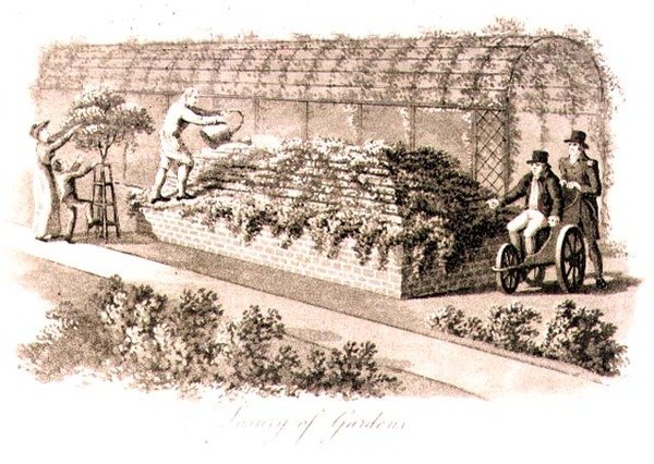 Lyx av trädgårdar, från "fragment om teorin och praktiken av trädgårdsskötsel", pub. 1816 (lito) av Humphry Repton