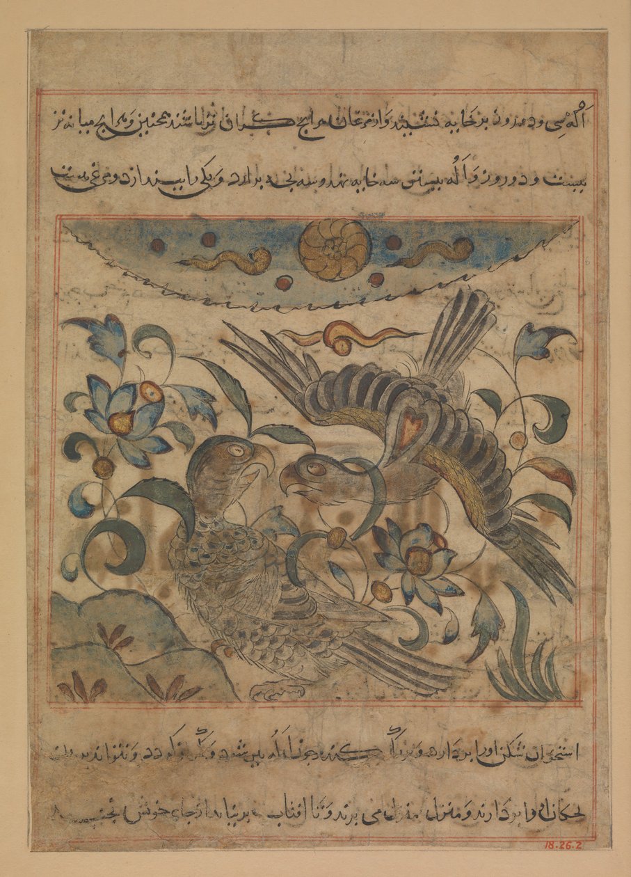 Örnpar, Folio från en Manafi
