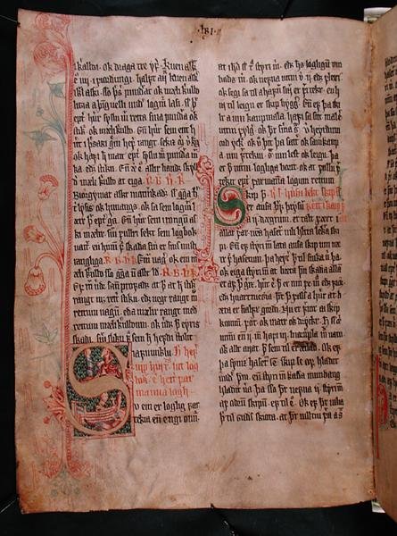 Historiserade initialer "S" och "P", från "Skarosbok" (Skards bok) ca 1350 (pergament) av Icelandic School