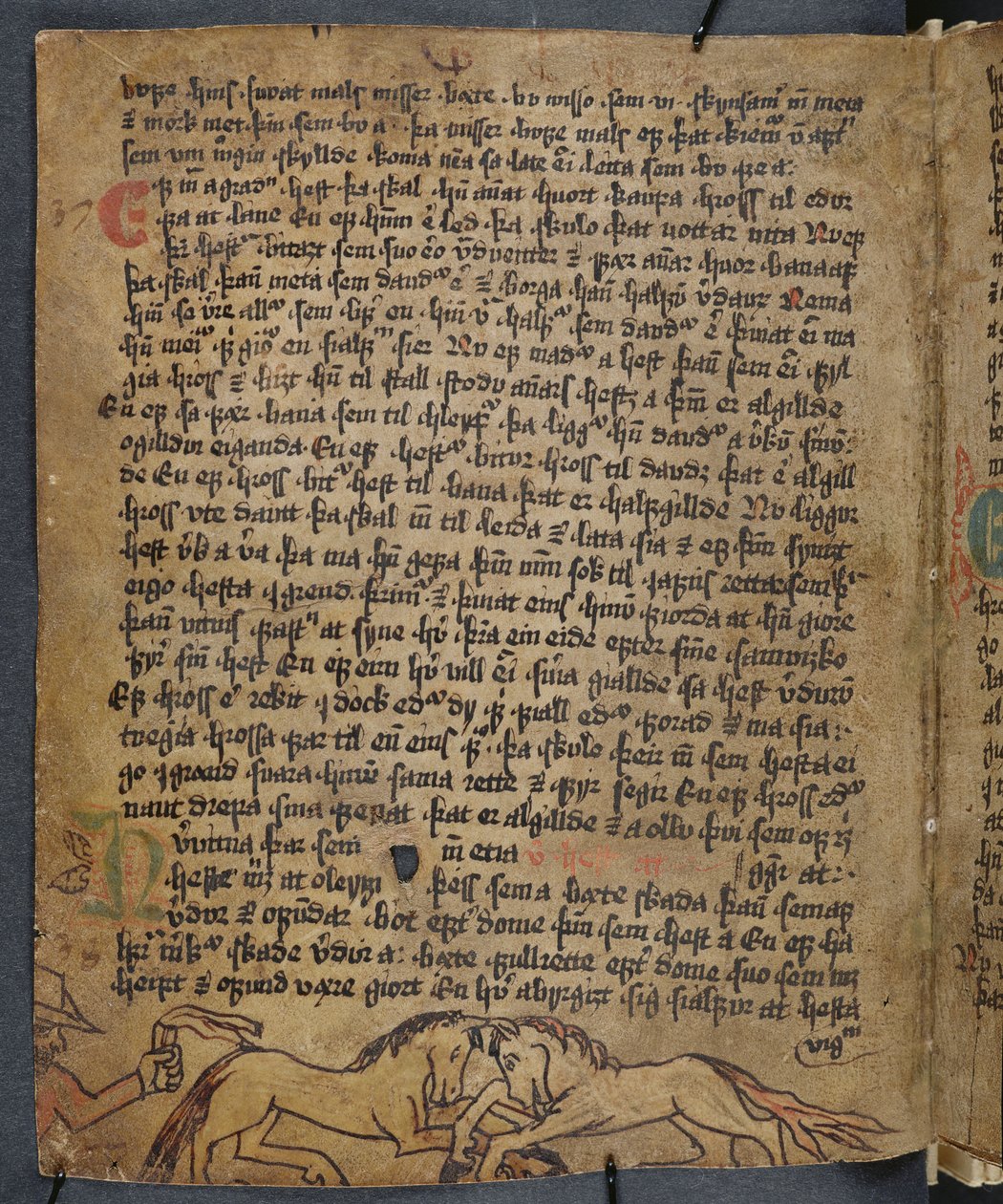 Horse Fight, från Heynesbok (The Book of Heynes), 1:a hälften av 1500-talet av Icelandic School