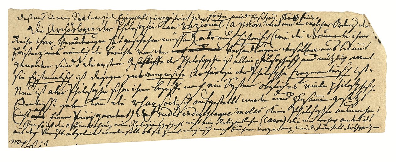 Autografiskt manuskript, på tyska, anteckningar om filosofi och universitetet i Königsberg (penna  bläck på papper) av Immanuel Kant