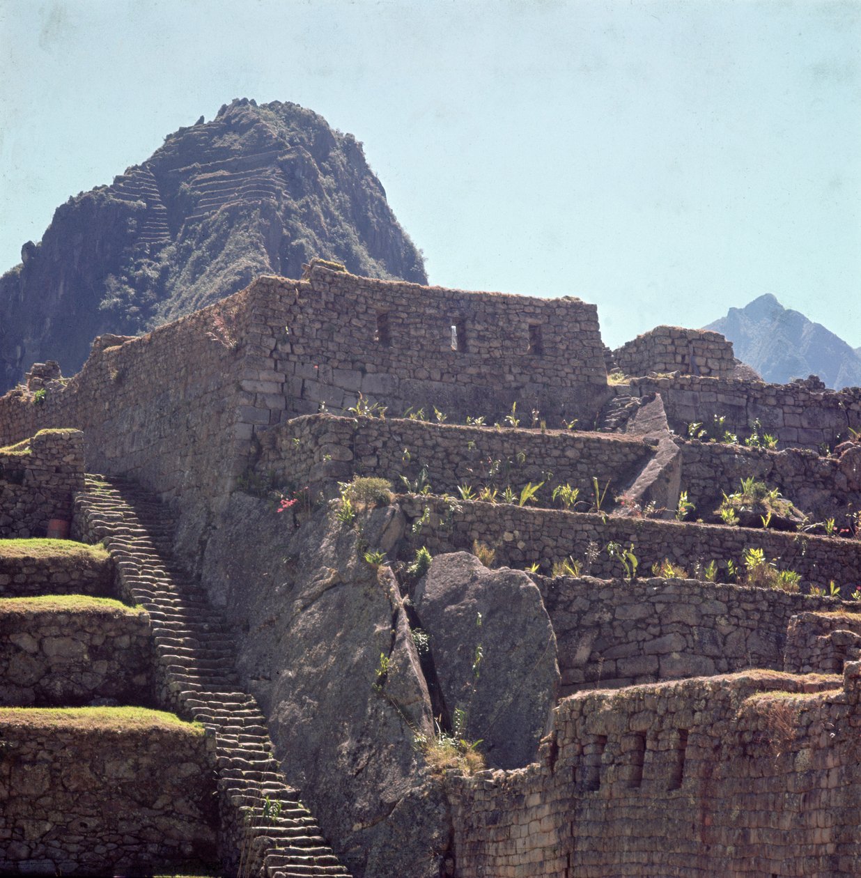 Ruiner av terrassbyggnader i citadellet vid Machu Picchu av Incan