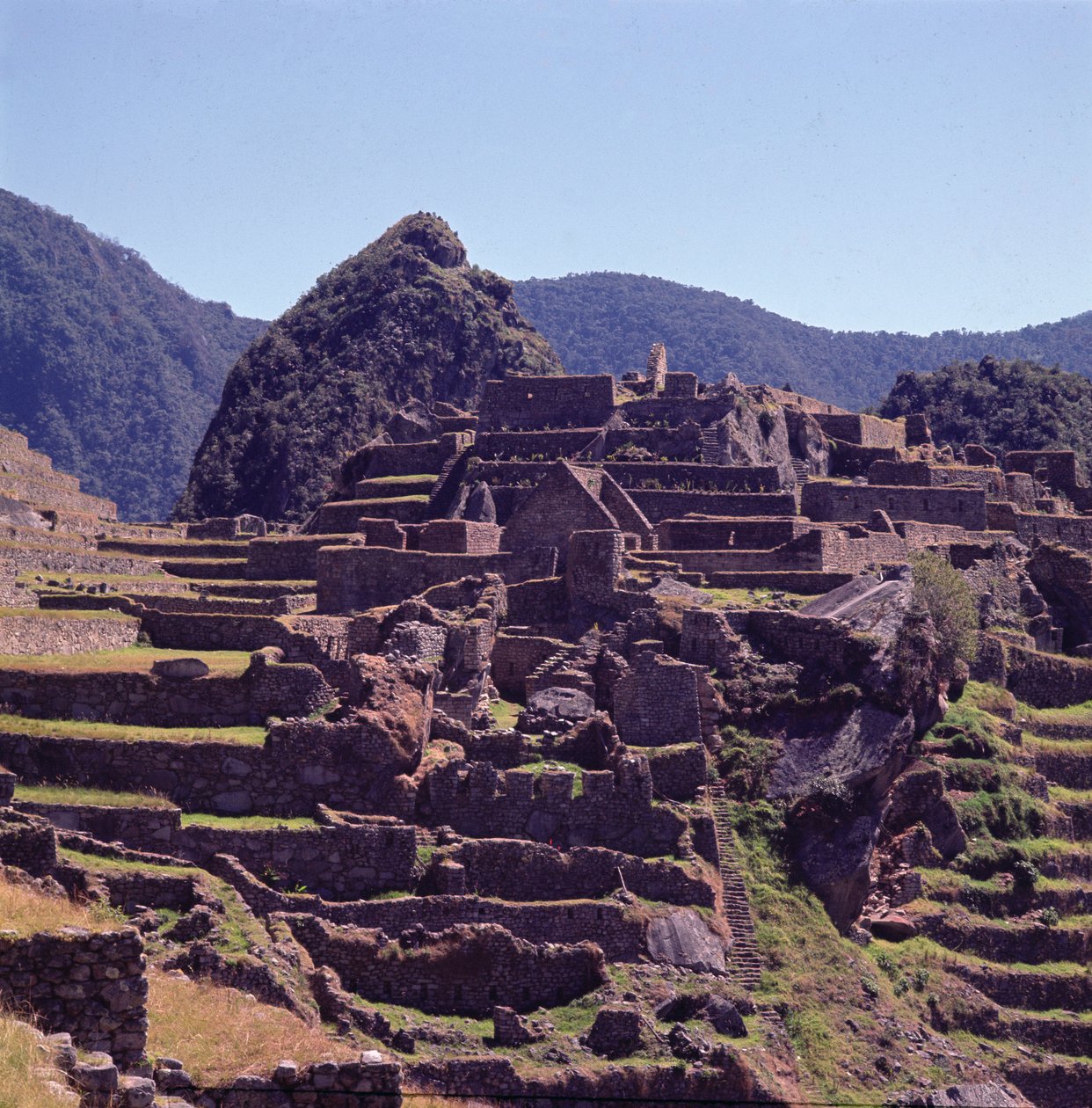 Terrassbyggnader i citadellet vid Machu Picchu av Incan