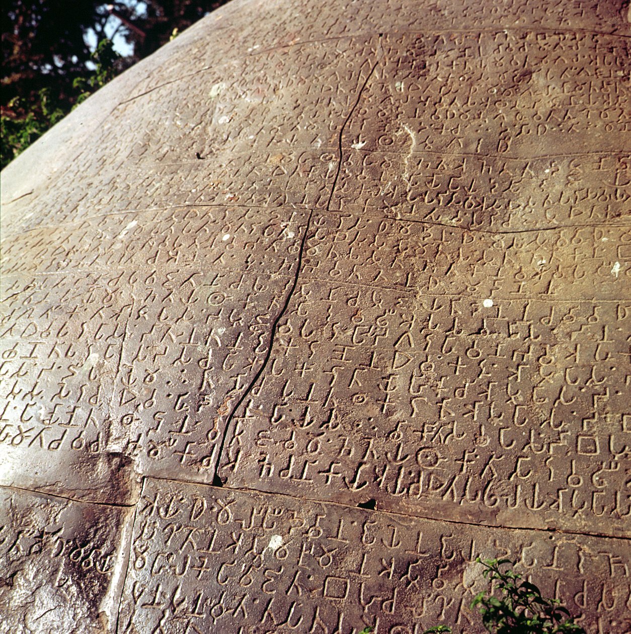 Kopia av kejsar Ashokas sten (ca 264-223 f.Kr.) (detalj) av Indian