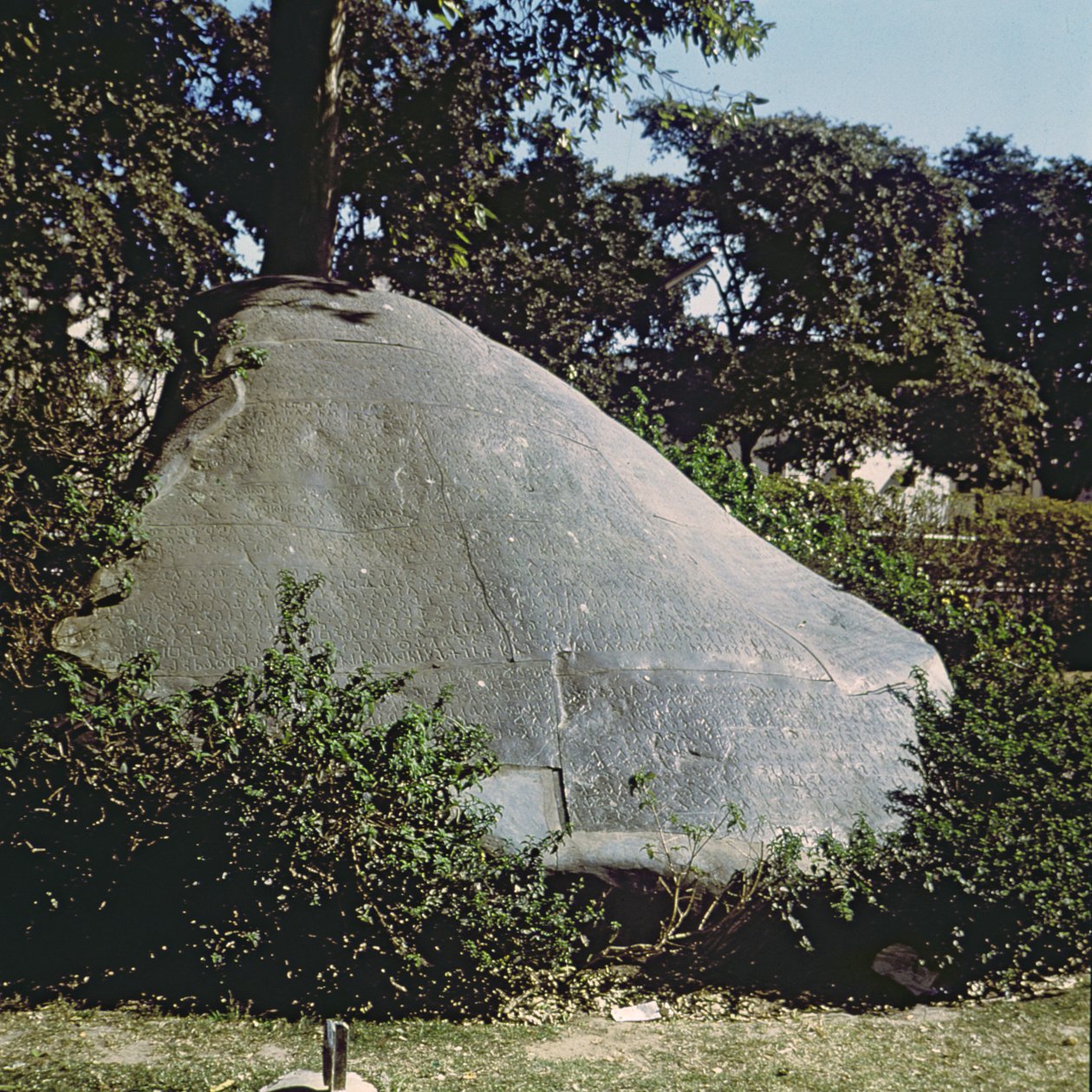 Kopia av kejsar Ashokas sten (c.264-223 f.Kr.) av Indian