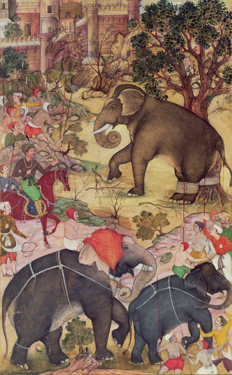 Akbar inspekterar den vilda elefanten som fångats från flocken nära Malwa, från Akbarnama, Mughal, ca 1590-95 (ogenomskinlig wc och guld på papper) av Indian School