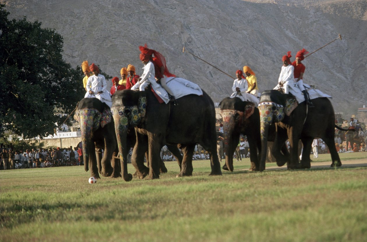 Män som spelar elefantpolo (foto) av Indian Photographer