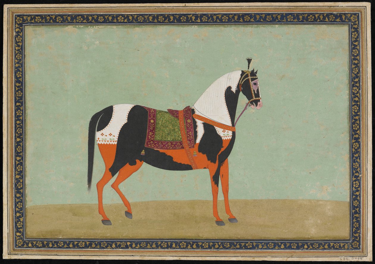 A Horse, Album folio, 1800-talet (ogenomskinlig akvarell och guld på papper) av Indian School