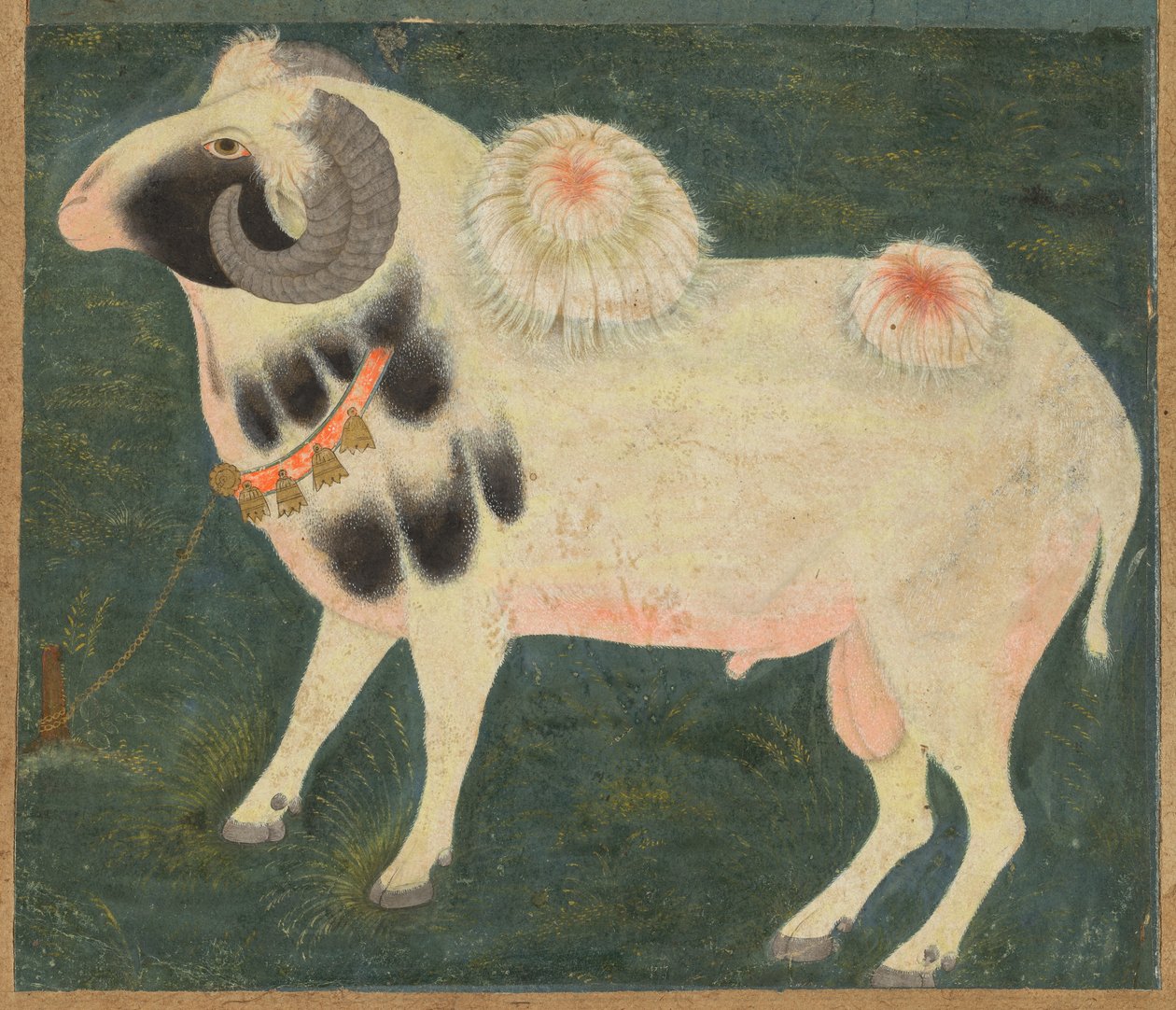 En kunglig bagge med guldkedja, ca. 1585 (ogenomskinlig akvarell & guld på papper) av Indian School