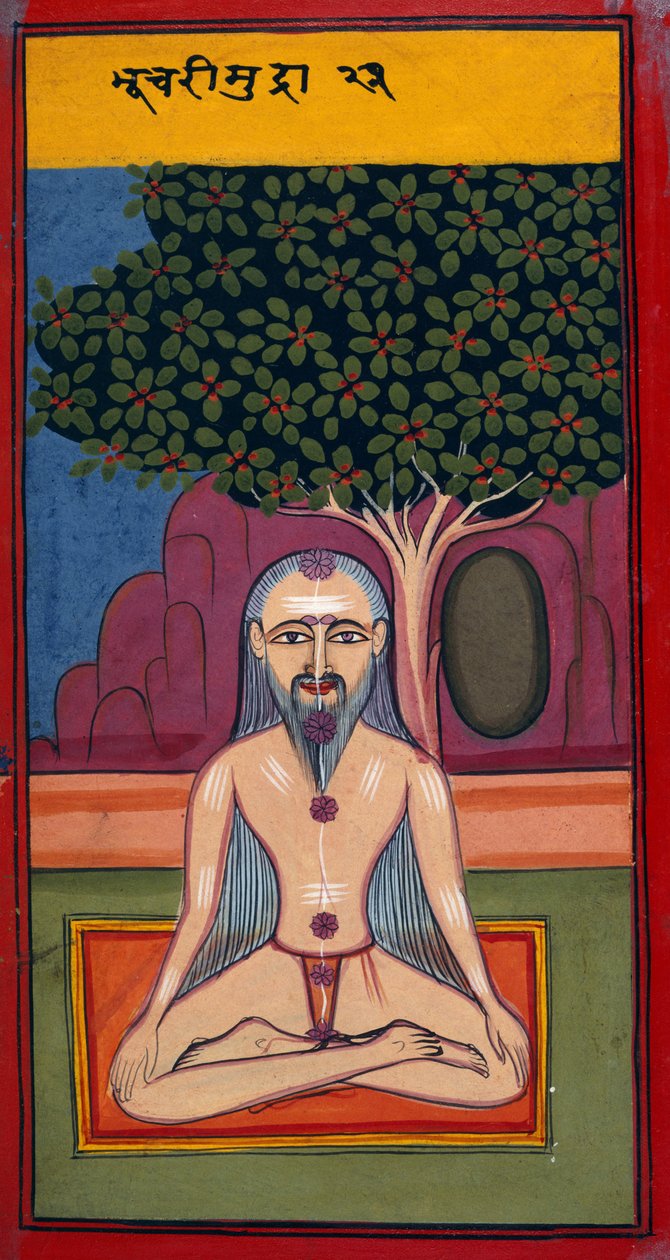 Lägg till 24099 fol.114v A Yogi in Bhusari posture, från Asanas and Mudras (Hatha yoga) (gouache på papper) av Indian School