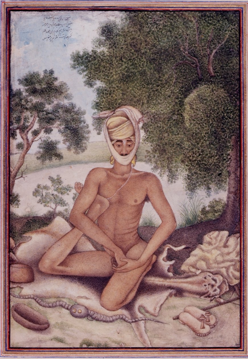 Lägg till 27255 fol.370v A Naked Ascetic, från 