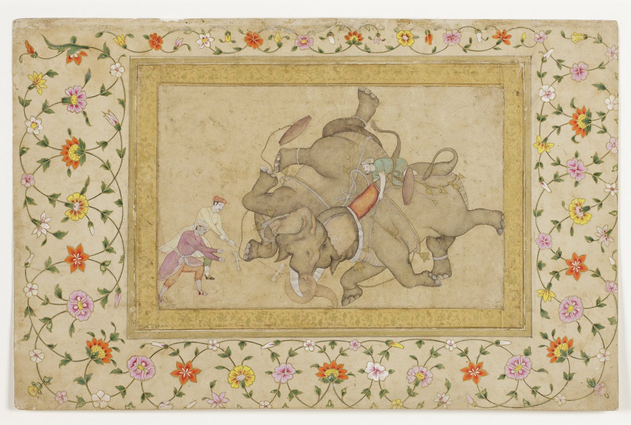 En elefantstrid, med blommig arabesk på kanten, ca 1610 (ogenomskinlig wc & guld på papper) av Indian School