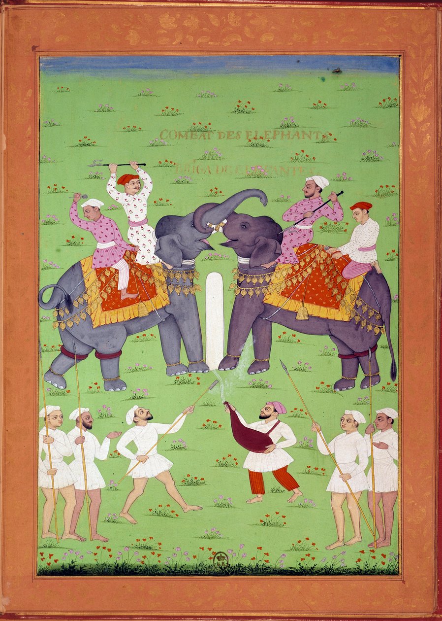 Slaget om två elefanter vid Shah Alems hov Indiska och persiska miniatyrer i "History of India from Tamertante to Orangreyb"" av Niccolo Manucci (1638-1717). B.N., Paris. av Indian School