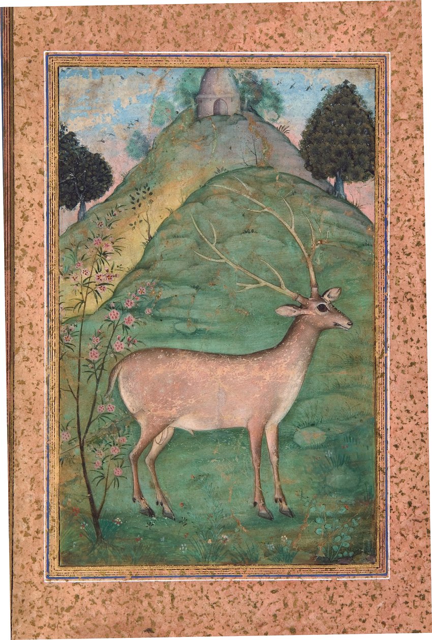 Buck in a Landscape, ca 1595 (ogenomskinlig wc & guld på papper) av Indian School