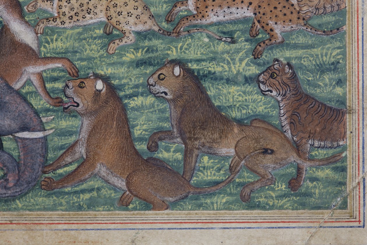 Detalj från The Jackal who Pronounced Himself King, c.1560-65 (ogenomskinlig wc & guld på papper) av Indian School