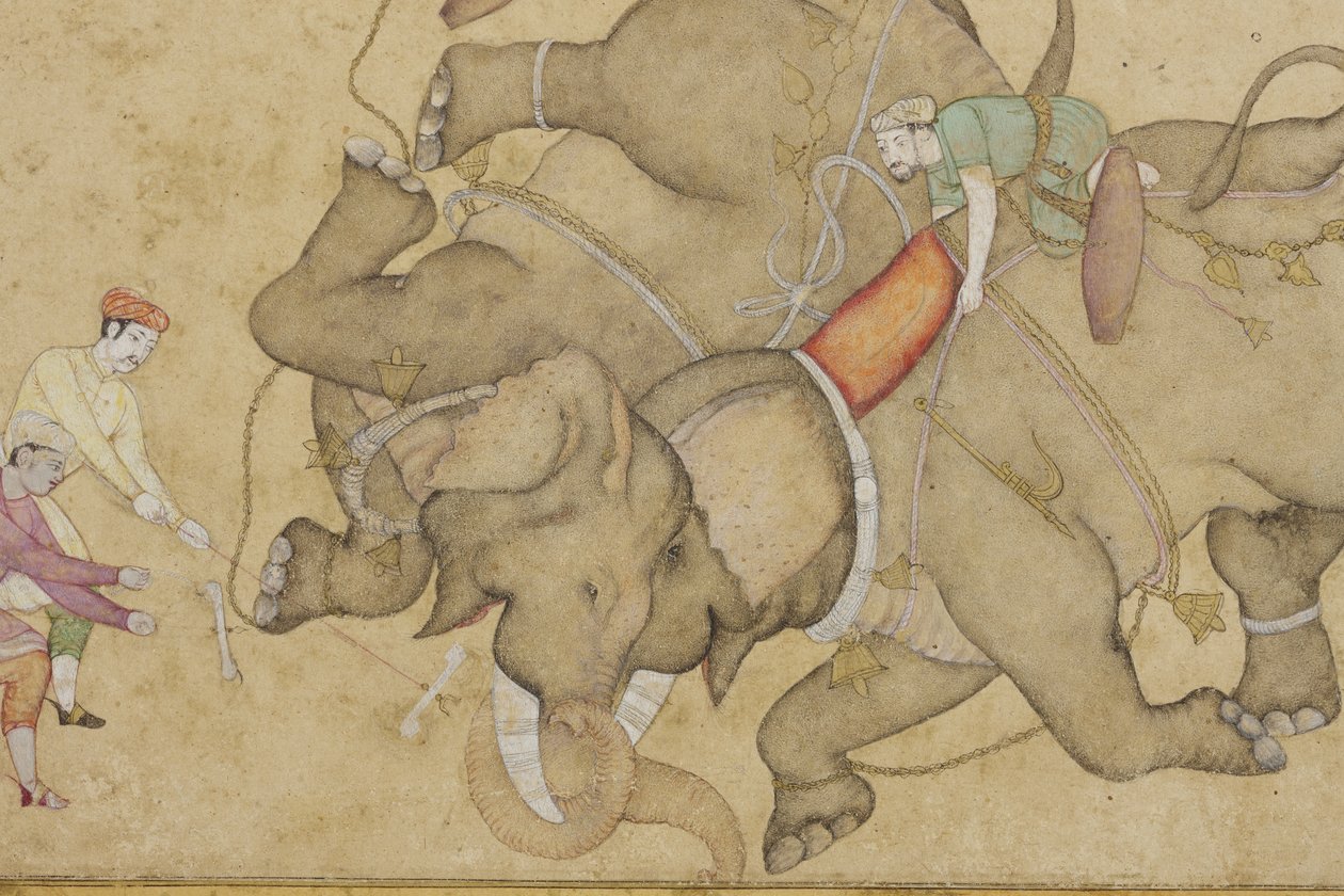Detalj från en elefantstrid, med blommig arabesk på kanten, ca 1610 (ogenomskinlig wc & guld på papper) av Indian School