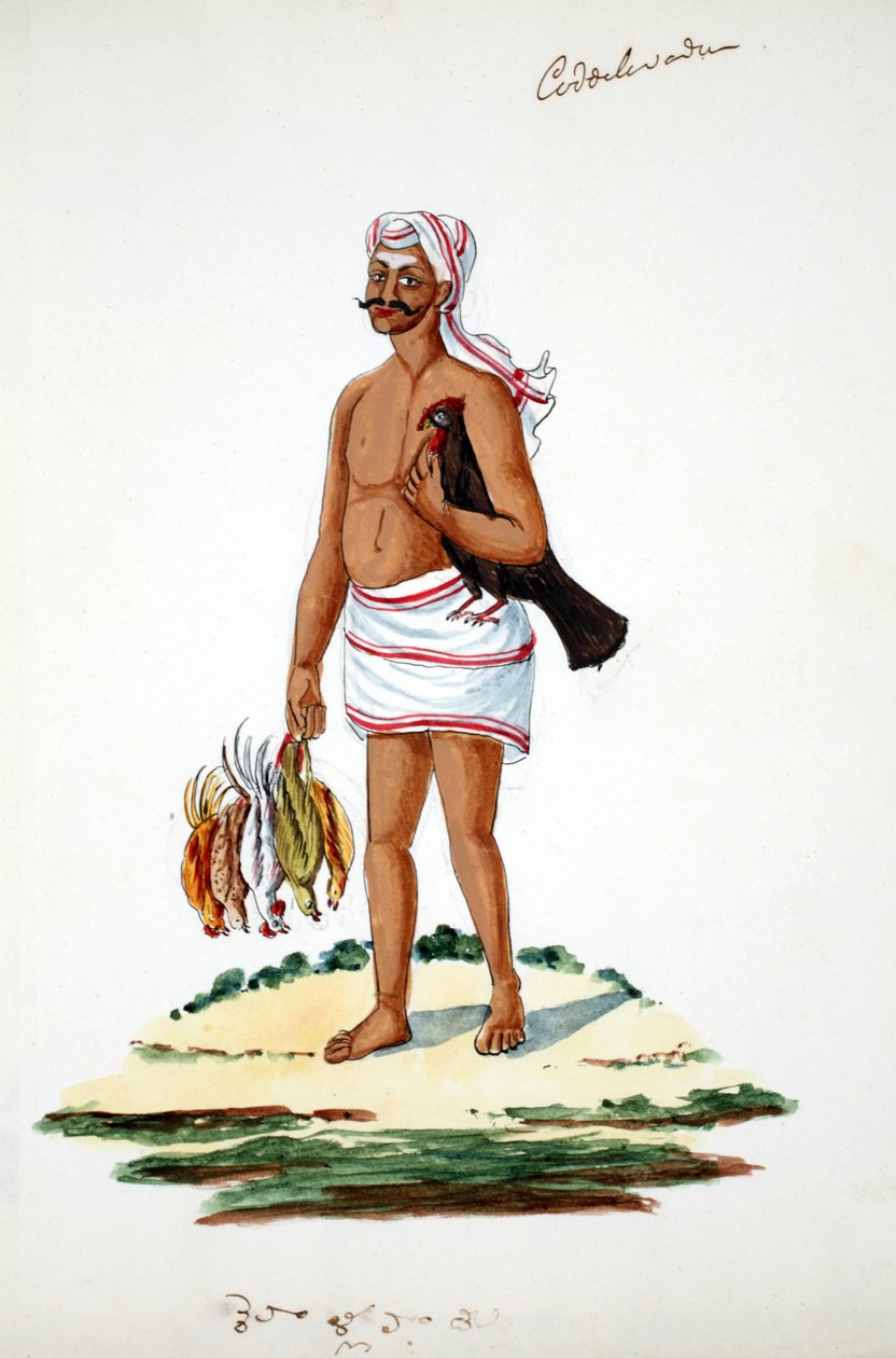 Bonde med kycklingar (wc på papper) av Indian School