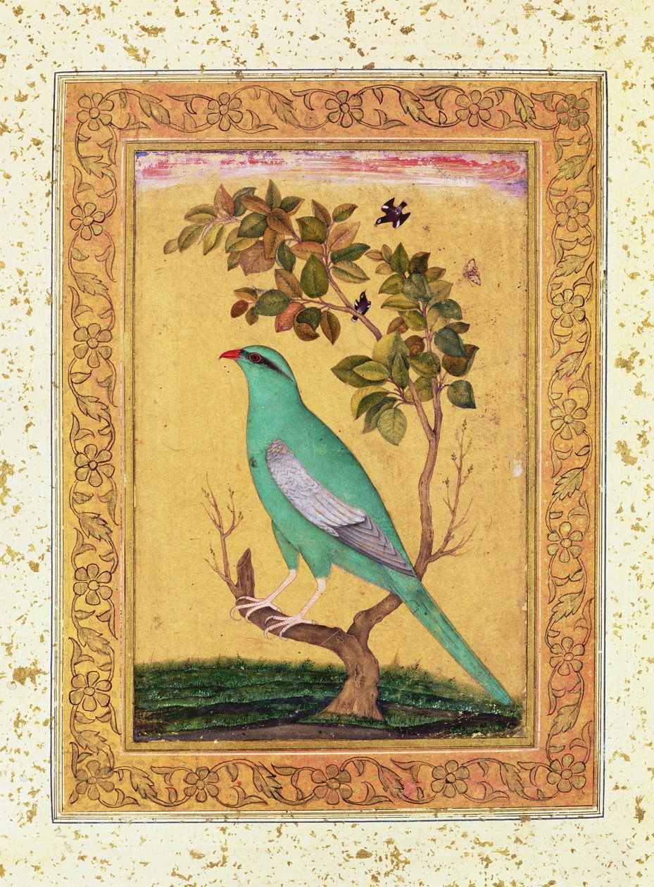 Grön fågel, Mughal av Indian School
