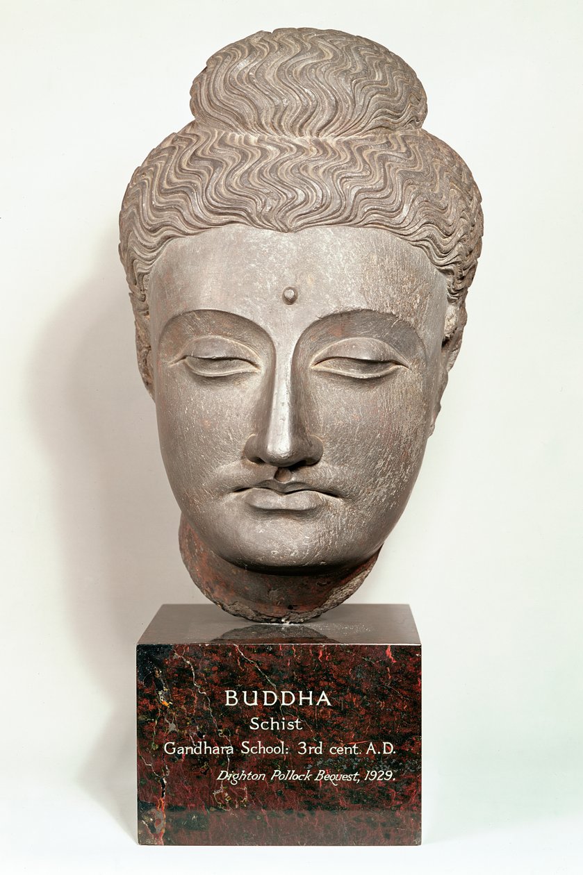 Huvud från en staty av Buddha, från Gandhara, nordvästra Indien (grå skiffer) av Indian School
