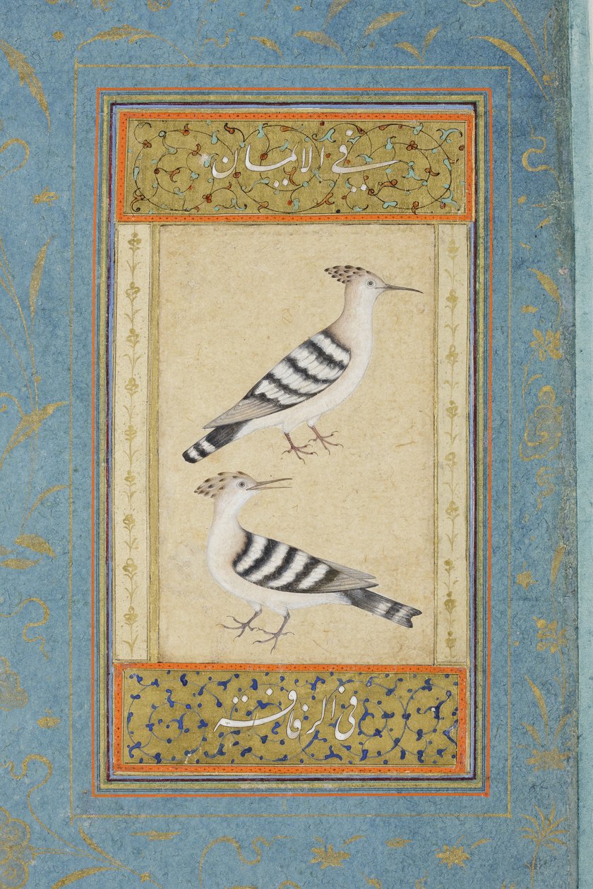 Hoopoes, ca 1590 (ogenomskinlig wc & guld på papper) av Indian School