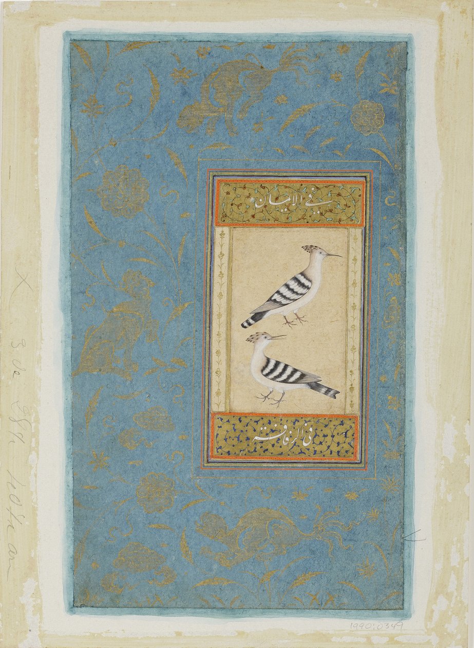 Hoopoes, ca 1590 (ogenomskinlig wc & guld på papper) av Indian School