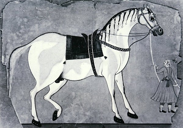Häst och brudgum från kejsarens stall, ca 1660 (litho) av Indian School