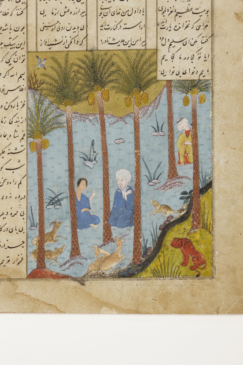 Laila besöker Majnun i en palmlund, ca 1475 (ogenomskinlig wc & guld på papper) av Indian School