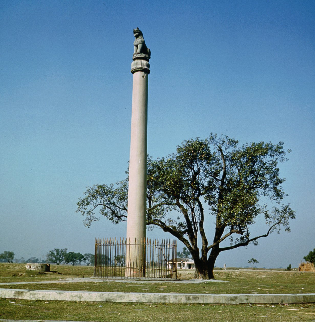 Kejsar Ashokas lejonpelare (ca 264-223 f.Kr.) av Indian School