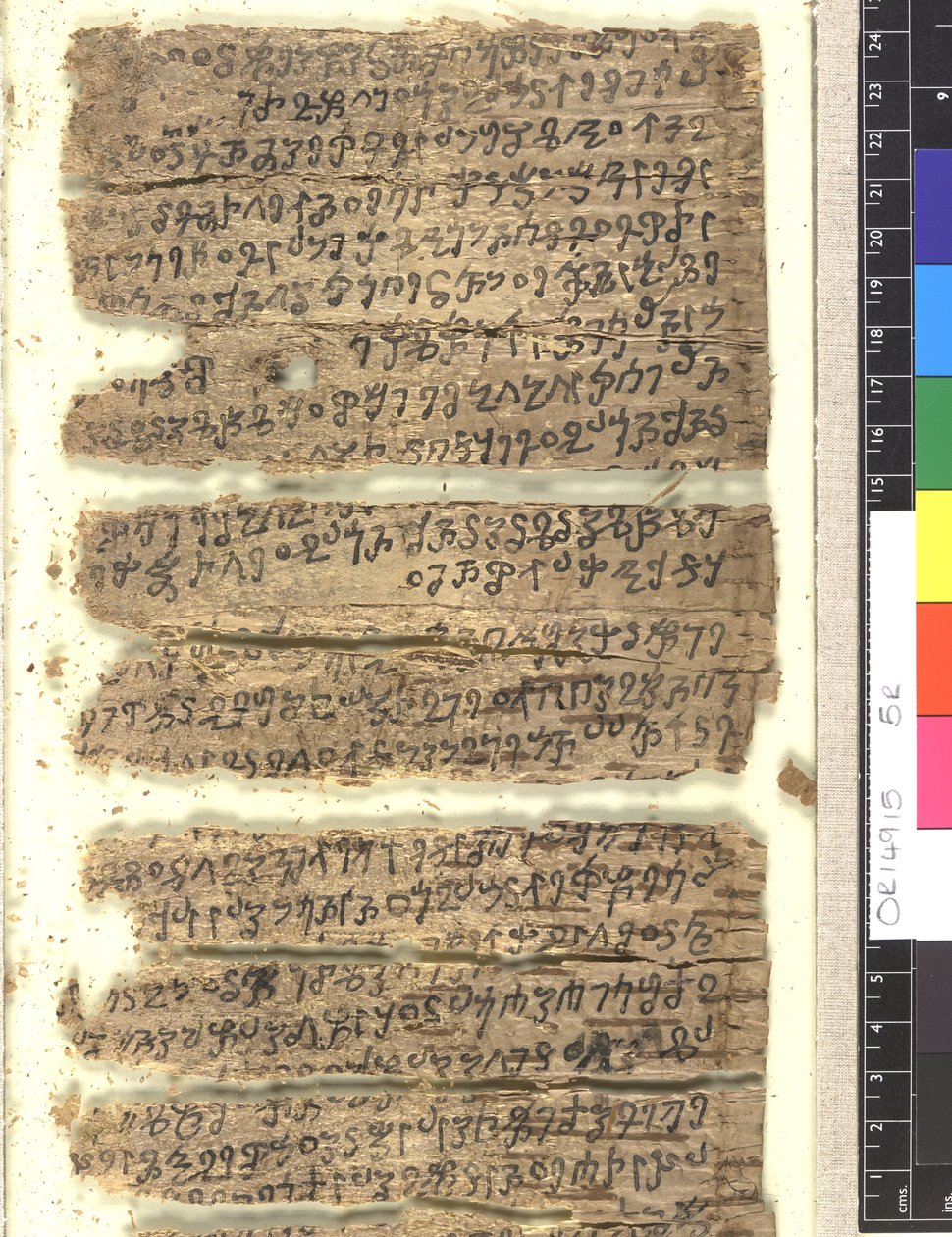 OMS OR 14915 f.5r Fragment av björkbarkmanuskript i Kharoṣṭi av Indian School