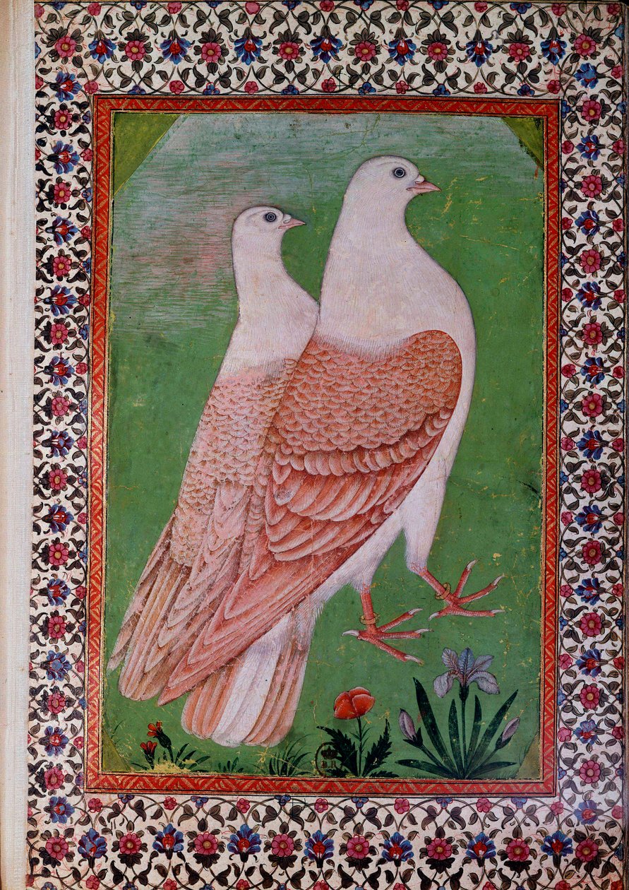 Orientalisk konst: två duvor. Indisk manuskriptsida från 1500-talet. Paris, B.N. av Indian School