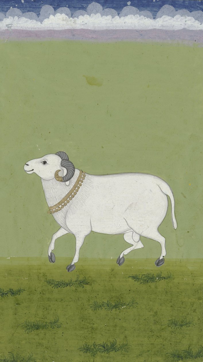 Ram med guldkrage, 1700-1799 av Indian School