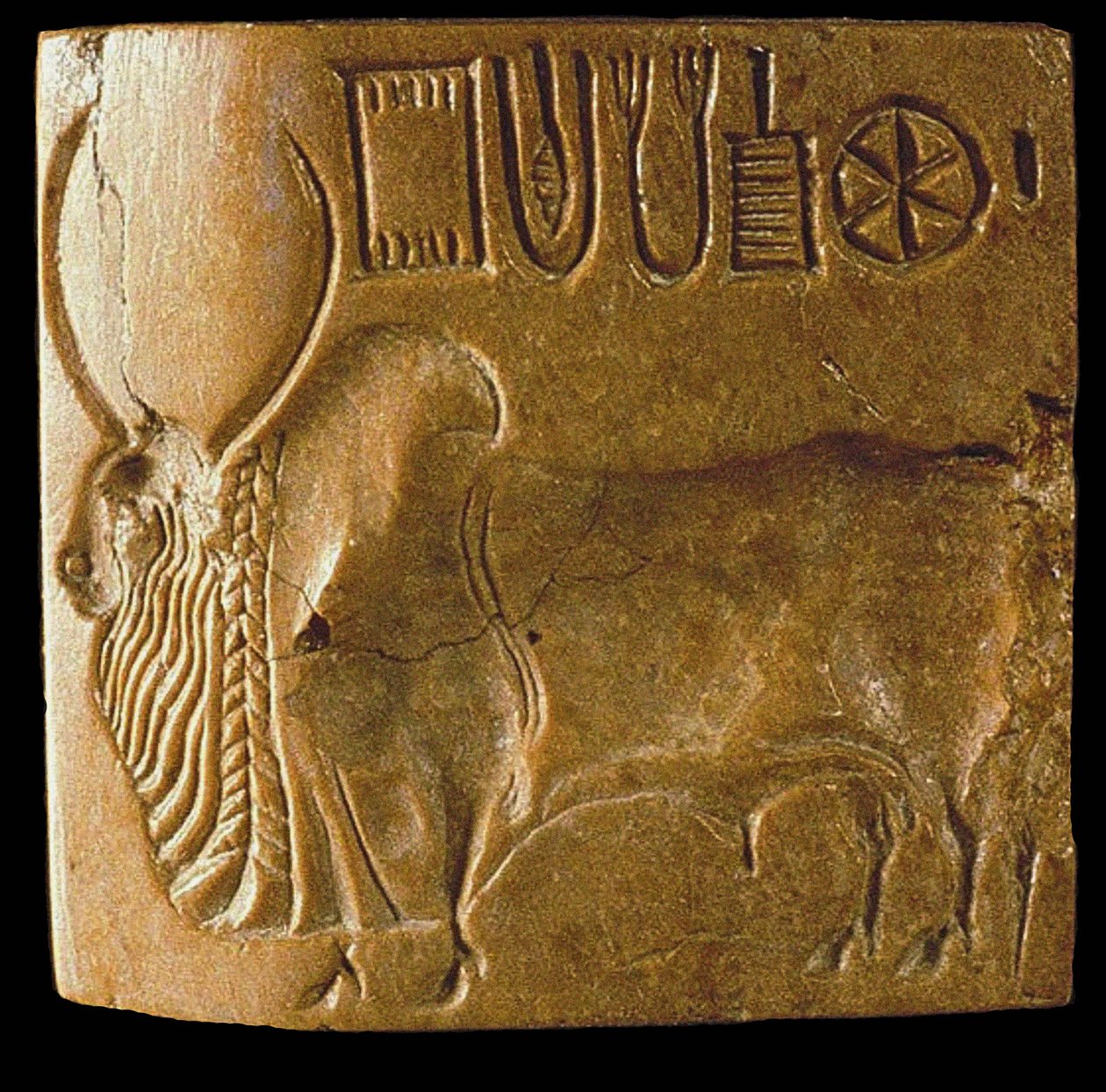 Zebu Bull Seal med Indus-skrift hittades i Mohenjo Daro, Indus Valley, 3:e årtusendet f.Kr. av Indus Valley Civilisation.