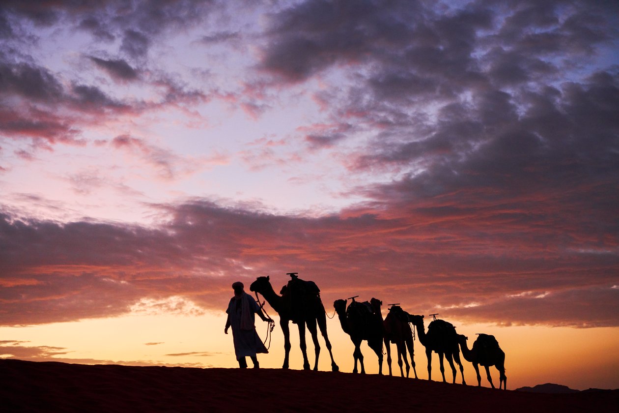 En kameleont leder sina kameler vid Erg Chebbi i öknen i Merzouga, Marocko, 2019 (foto) av Ira Block
