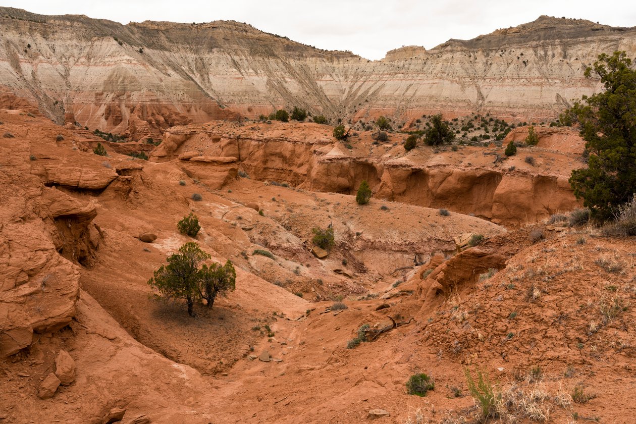 Ett landskap vid Kodachrome Basin State Park, Utah, 2019 (foto) av Ira Block