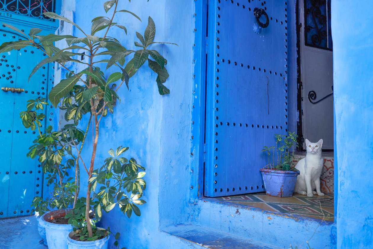 En gatuscen i Chefchaouen, den blå staden i Marocko, 2019 (foto) av Ira Block