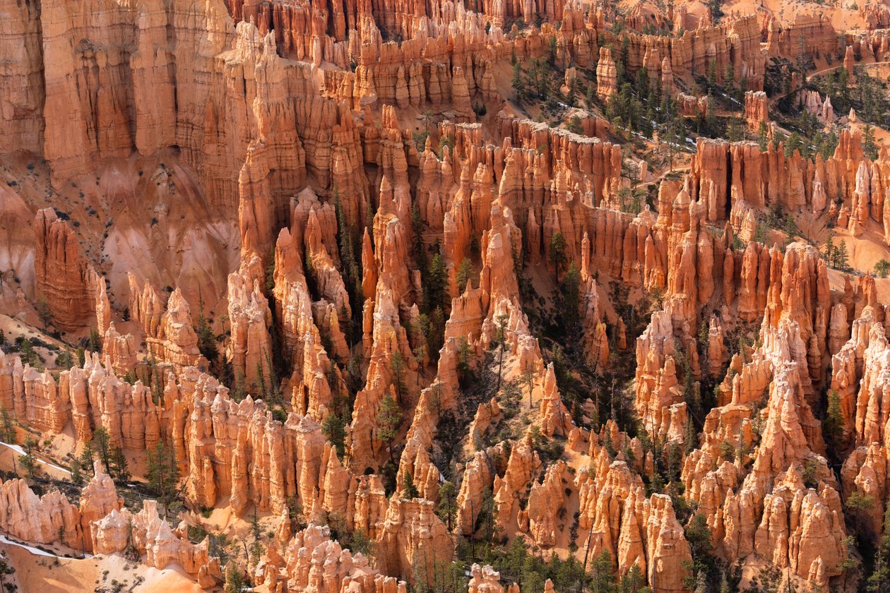 Hoodoos - spiror som skapats av erosion - i Bryce Canyon National Park i Utah, 2019 (foto) av Ira Block
