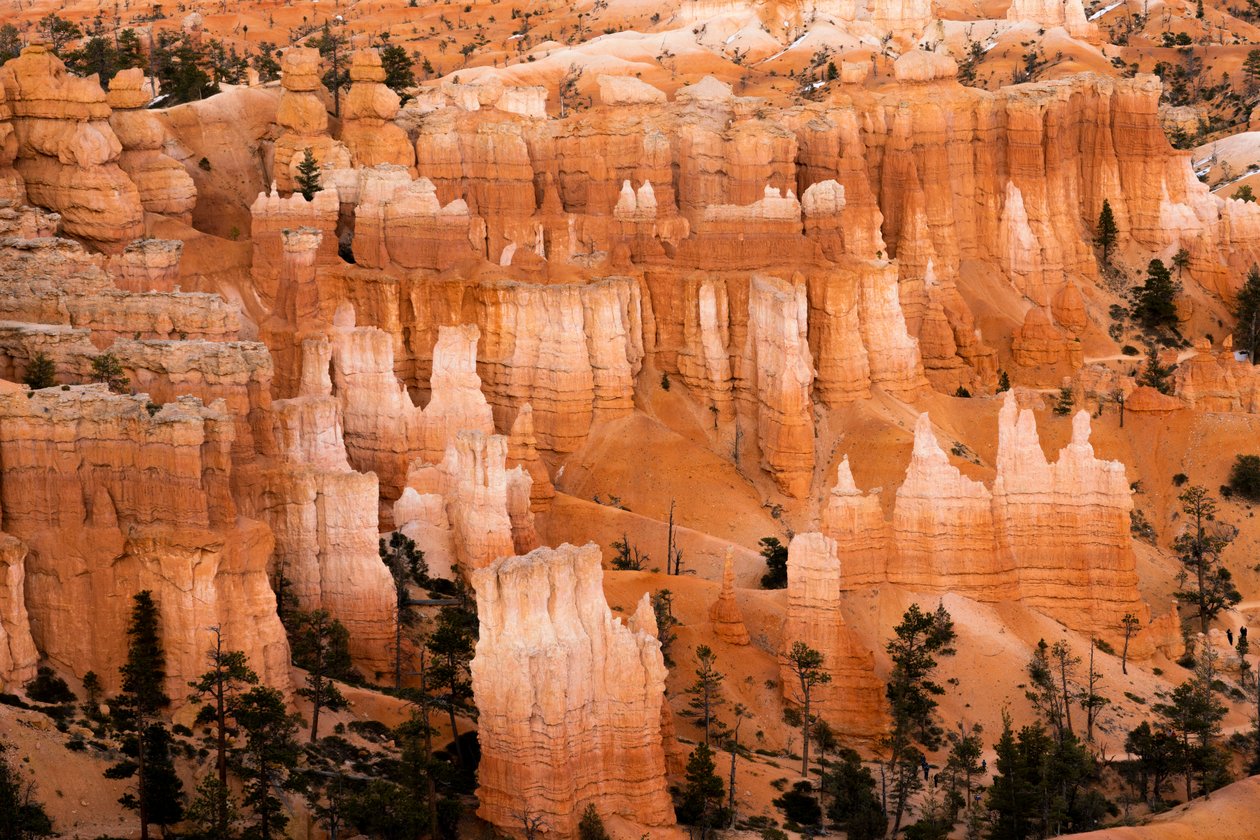 Hoodoos - spiror som skapats av erosion - i Bryce Canyon National Park i Utah, 2019 (foto) av Ira Block