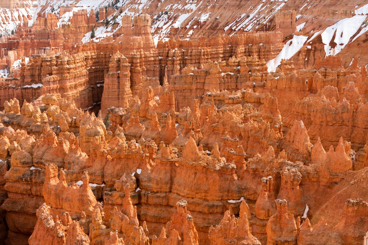 Hoodoos - spiror som skapats av erosion - i Bryce Canyon National Park i Utah, 2019 (foto) av Ira Block
