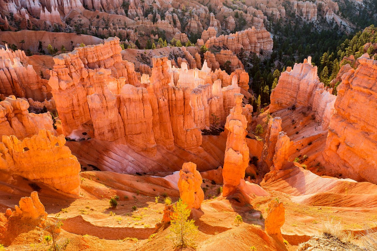 Soluppgång på Hoodoos i Bryce Canyon National Park, 2012 (foto) av Ira Block