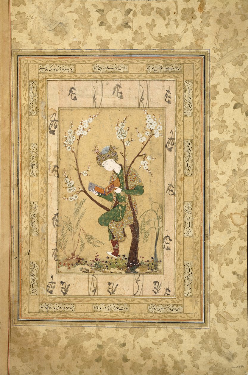 Ungdom sitter i gaffeln av ett blommande träd, 1560-talet av Iranian Master