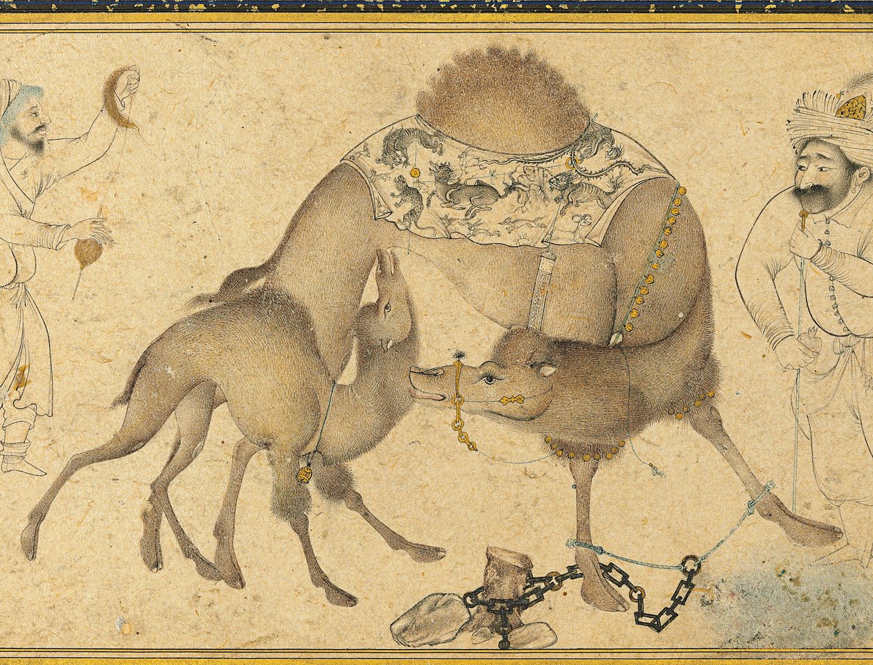 En kamel och hennes kalv, Safavid Iran, 1650-1700 av Iranian School