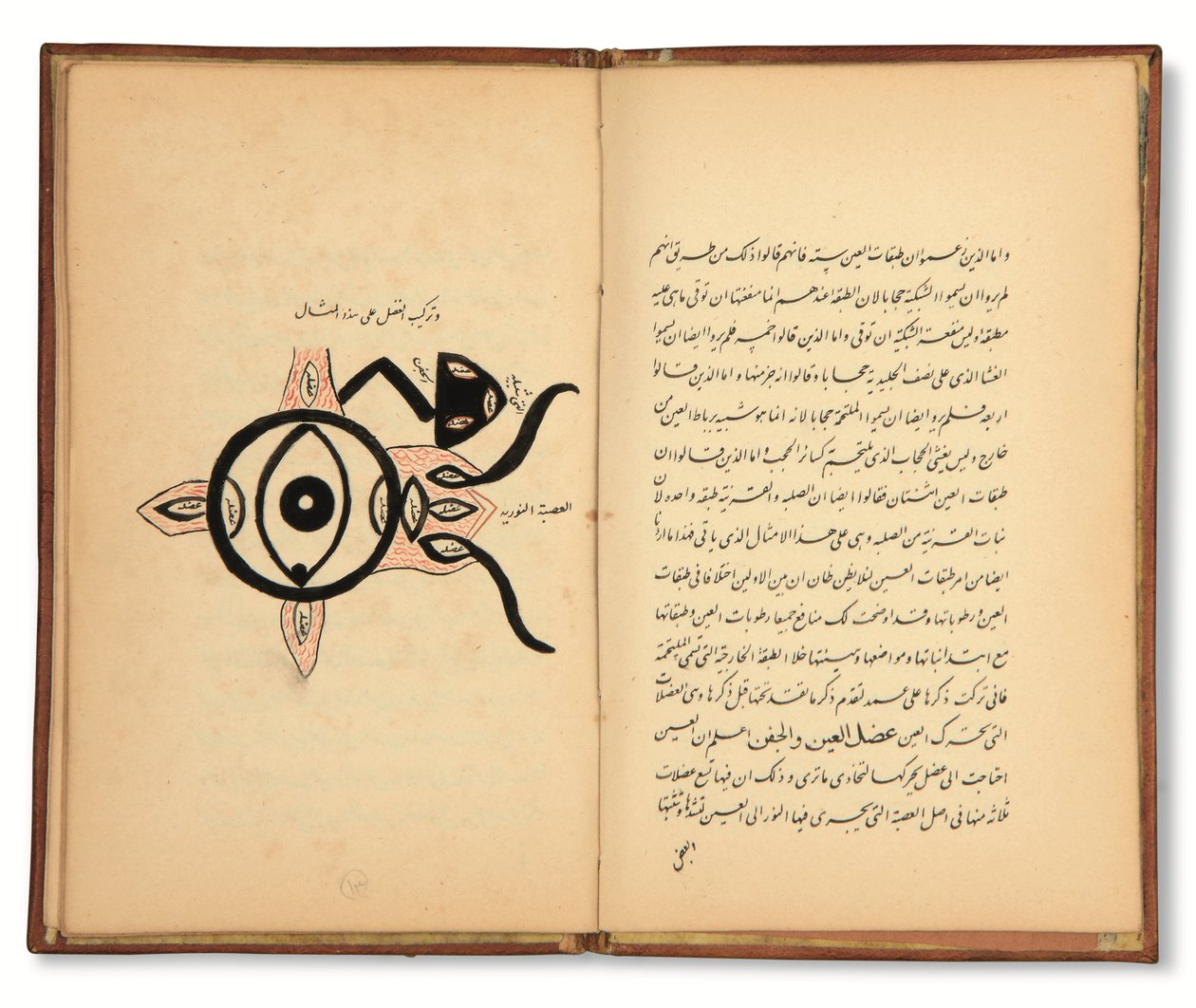 Hunayn Bin Ishaq (d.873 e.Kr.): Tre avhandlingar (Maqalat) om oftalmologi, Qajar, Iran, första hälften av 1800-talet (bläck på papper) av Iranian School