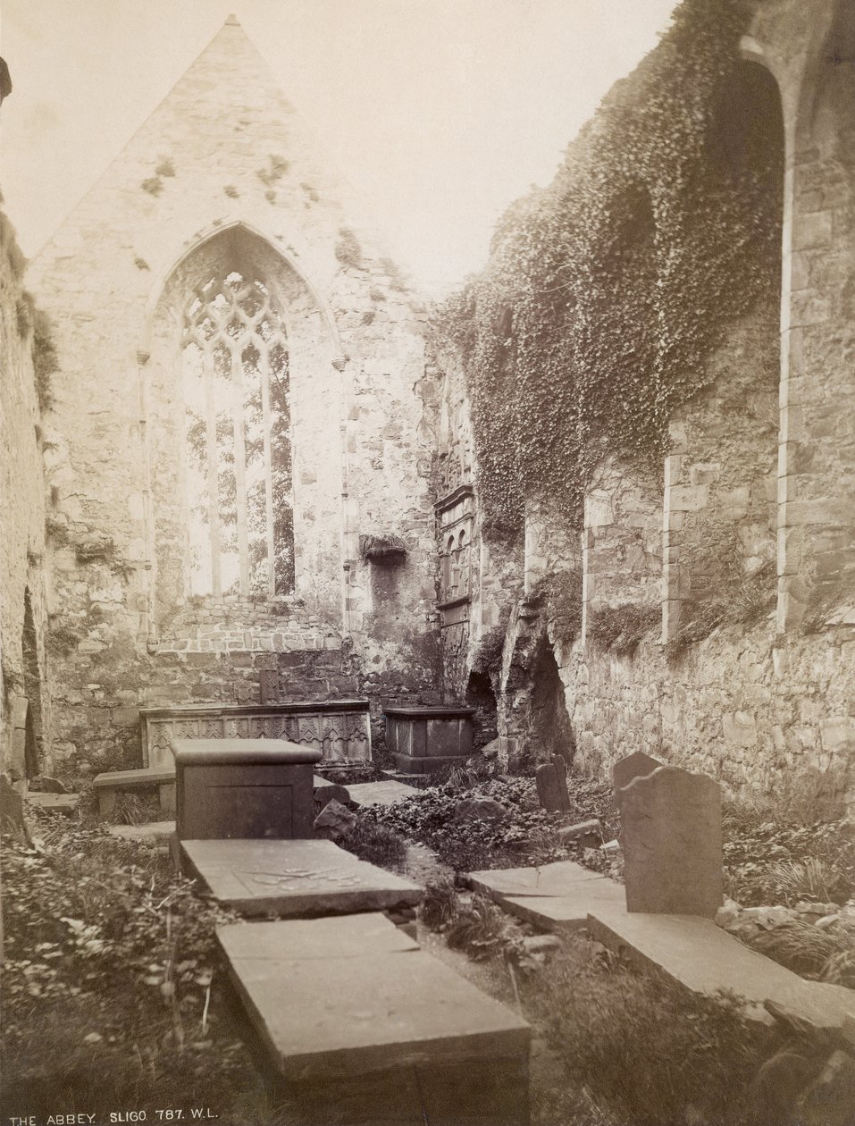Ruinerna av Sligo Abbey (sepiafoto) av Irish Photographer